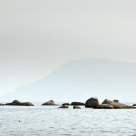 Through the Haze